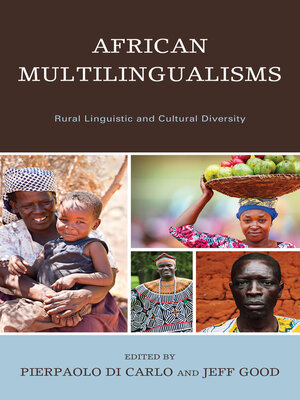 cover image of African Multilingualisms